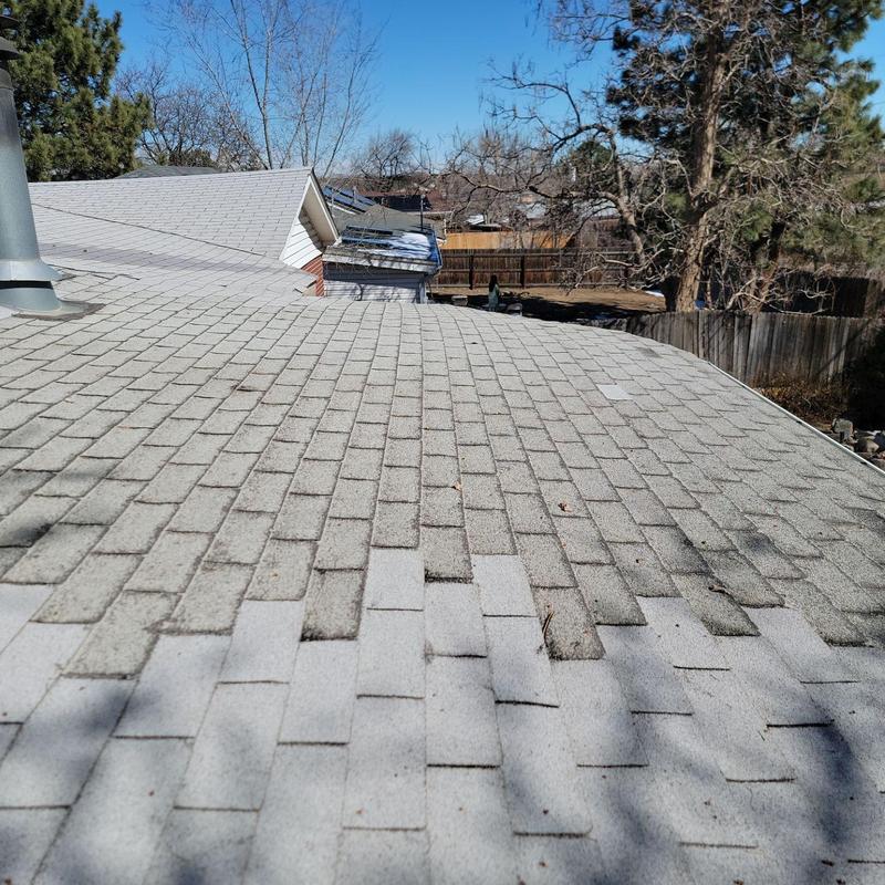 Three tab shingle roof showing wear and cracking Three tab shingle roof showing wear and cracking