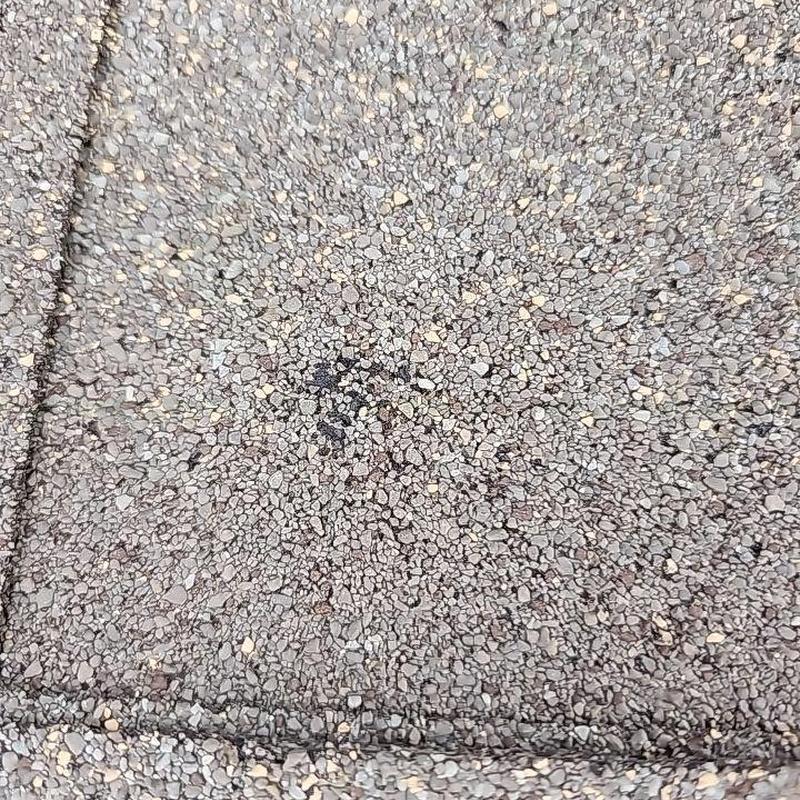 Shingle roof granule loss from hail impact close-up Shingle roof granule loss from hail impact close-up
