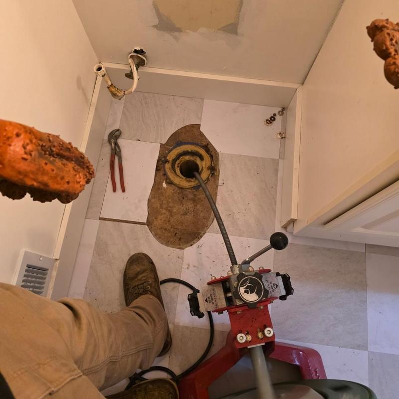 Toilet flange drain clearing with plumbing auger