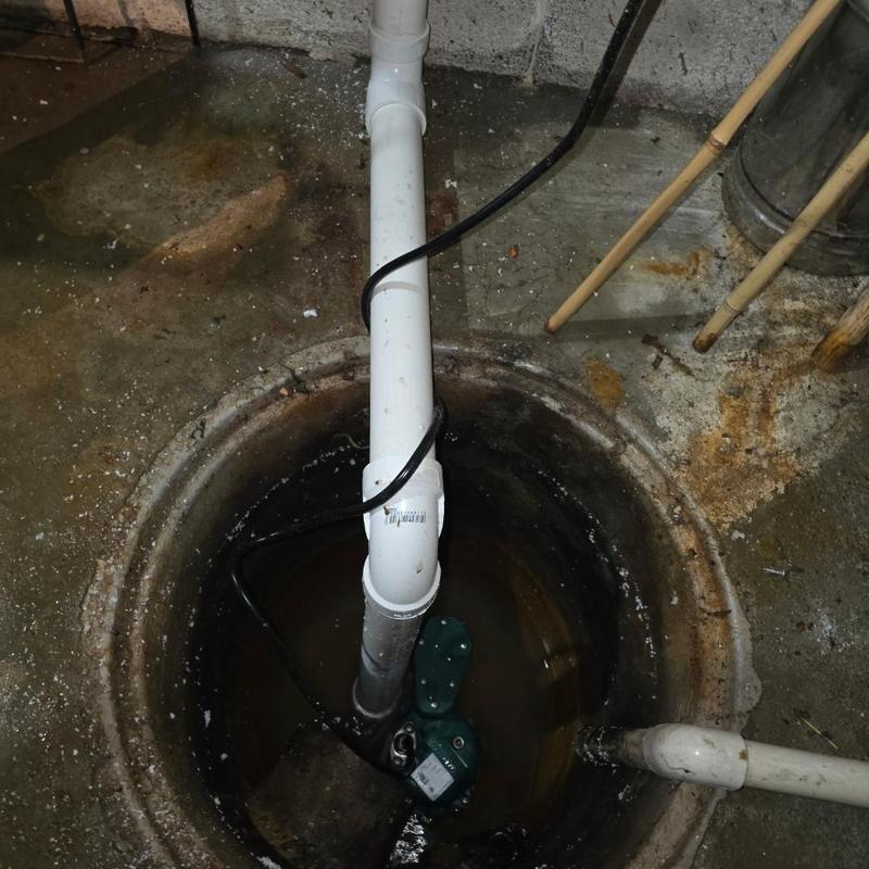 Zoeller sump pump with PVC discharge and check valve