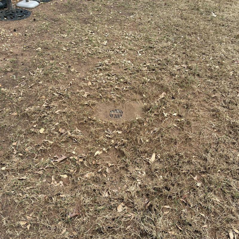 Yard drainage grate in dry grass lawn