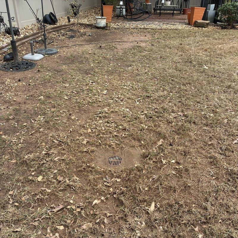 Lawn drainage grate set in dry grass yard