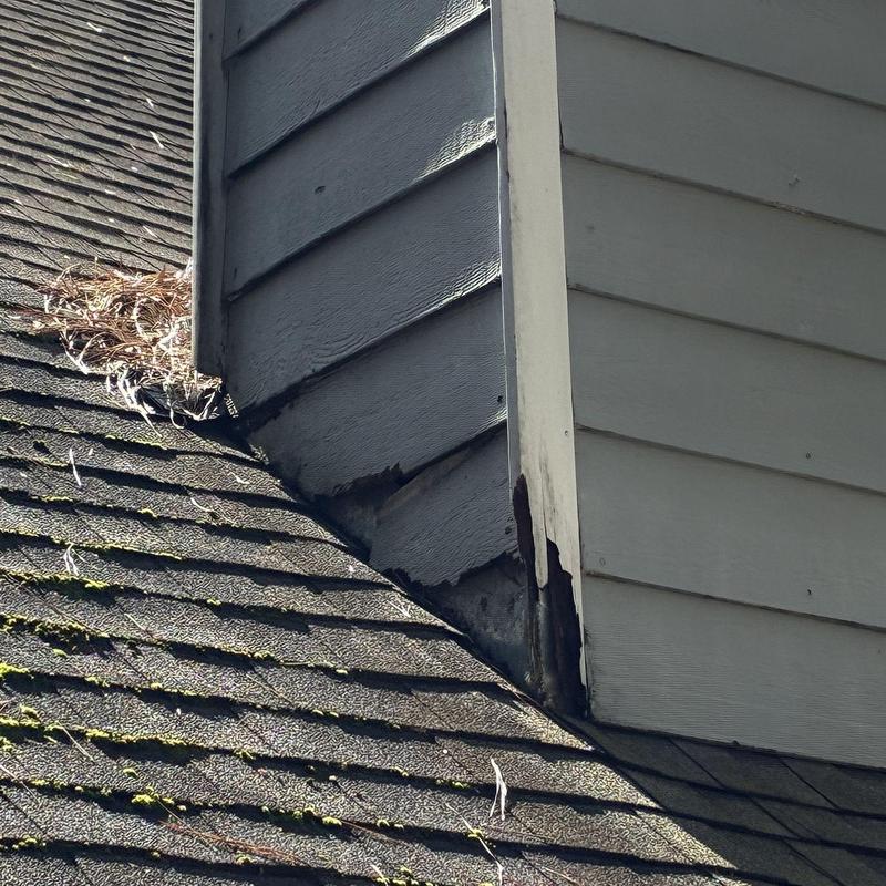 Chimney siding damage and roof debris buildup