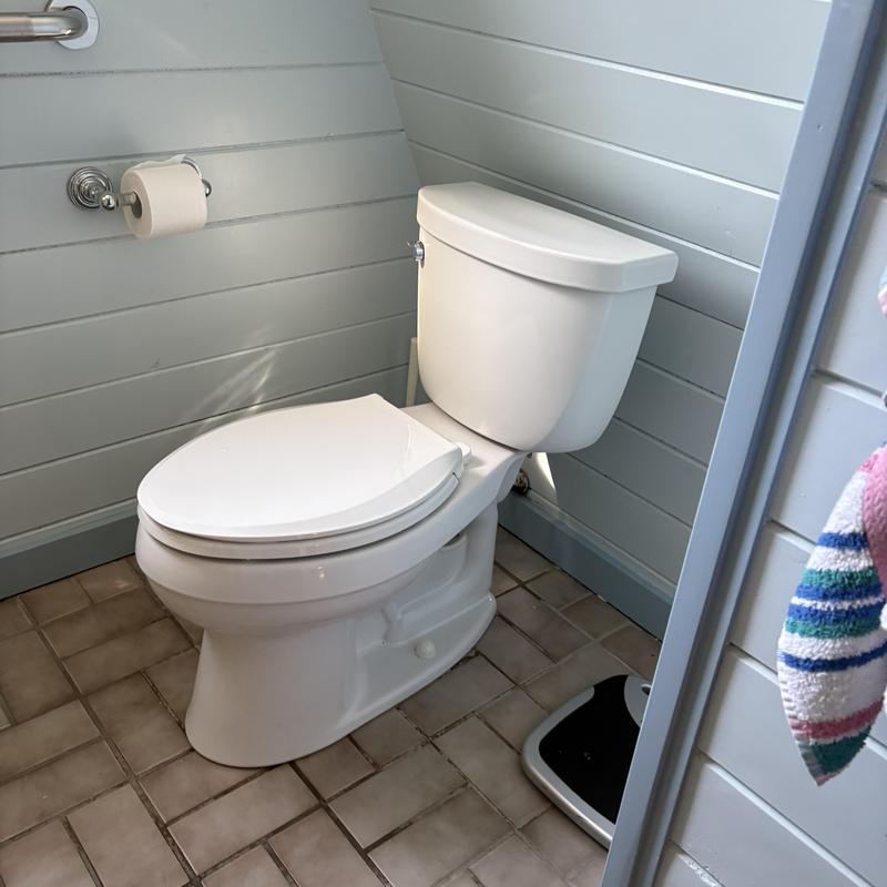 Toilet flange replacement under second floor toilet