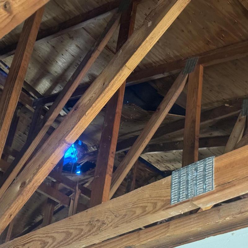 Roof trusses with damage from fallen tree branch