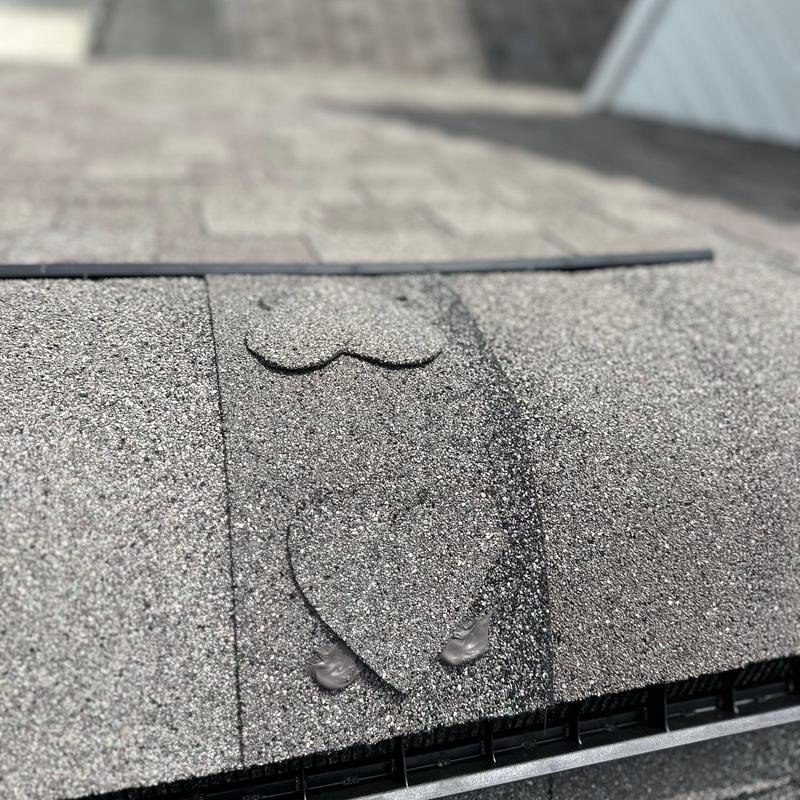 Tamko Titan XT Timber Creek shingles with sealant beads Tamko Titan XT Timber Creek shingles with sealant beads