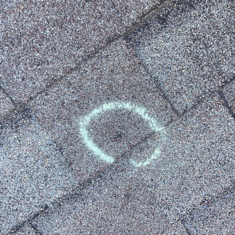 Asphalt roof shingle with marked storm damage spot