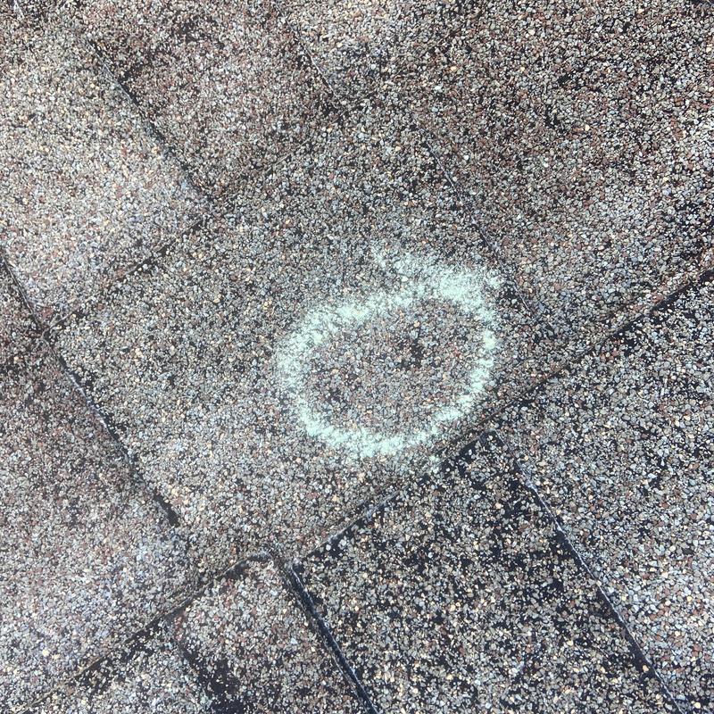 Asphalt shingle roof with hail damage marked in circle