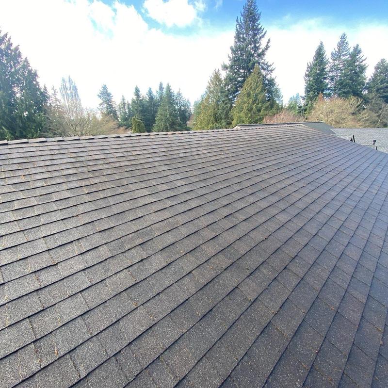 Roof shingles with light debris before cleaning