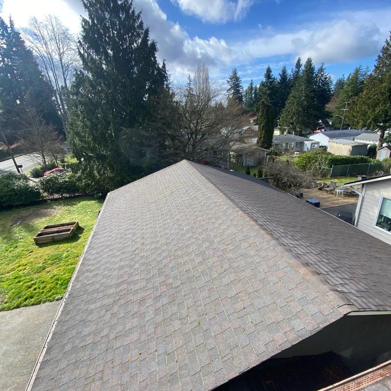 Roof shingles and gutters cleaned and cleared of debris