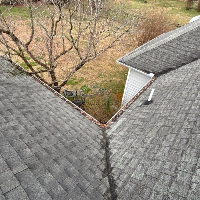 Roof valley with granule loss and debris buildup