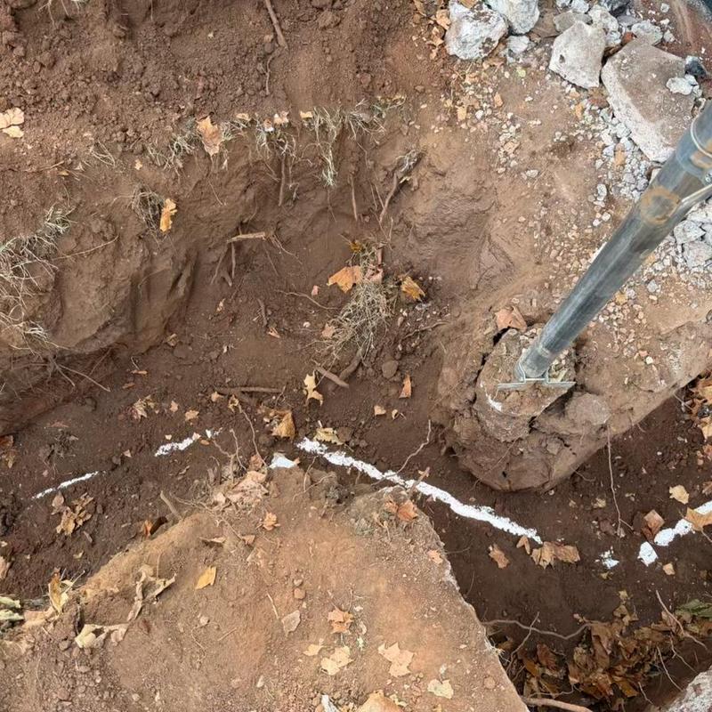 Sewer service line excavation with soil and marking