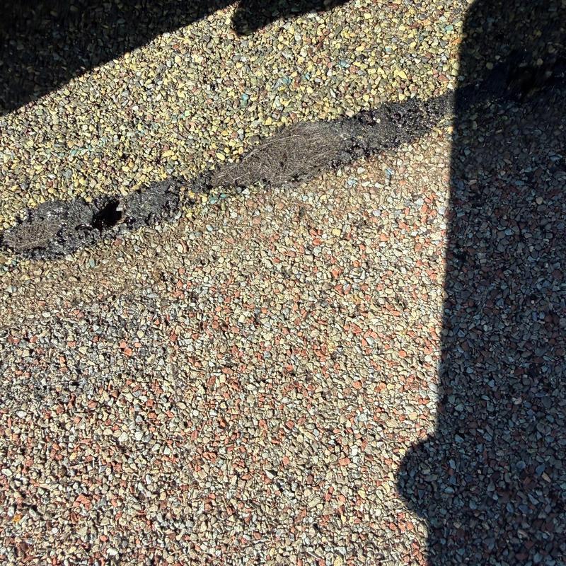 Roof granules missing from damaged shingle surface