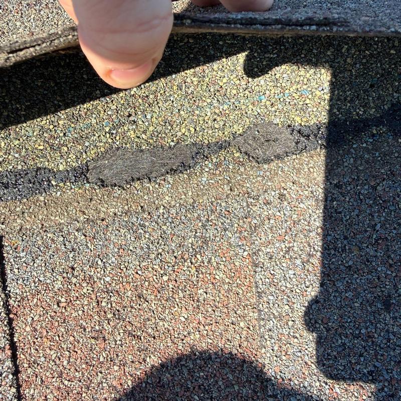 Asphalt shingle with granule loss from storm damage