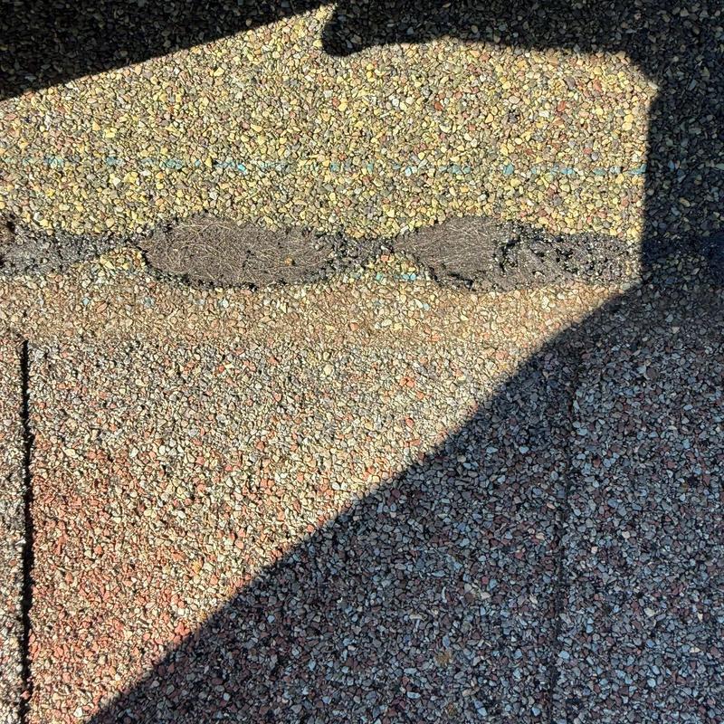 Asphalt shingle roof with storm damage and granule loss