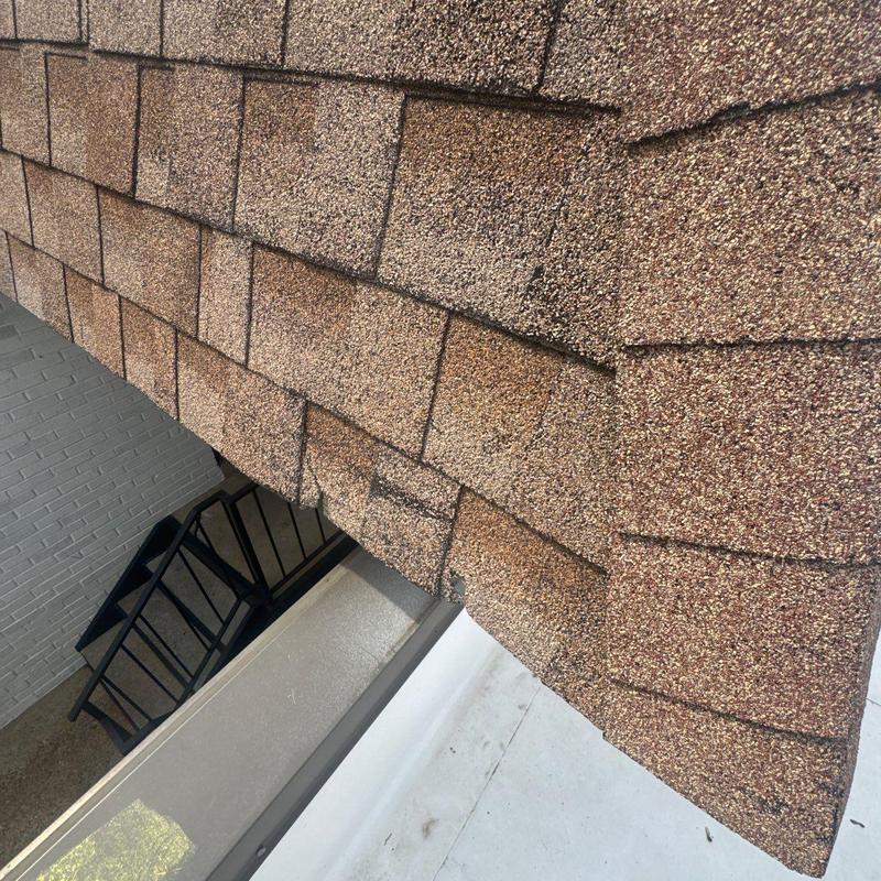 Asphalt shingle roof showing granule loss and wear
