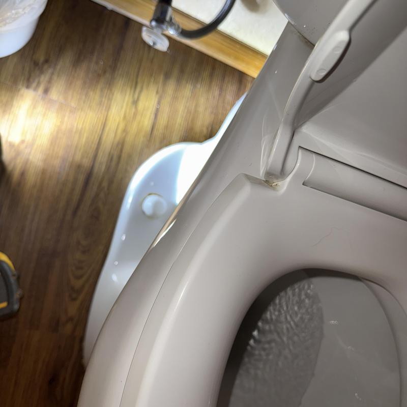 Toilet tank interior with rebuilt flushing components
