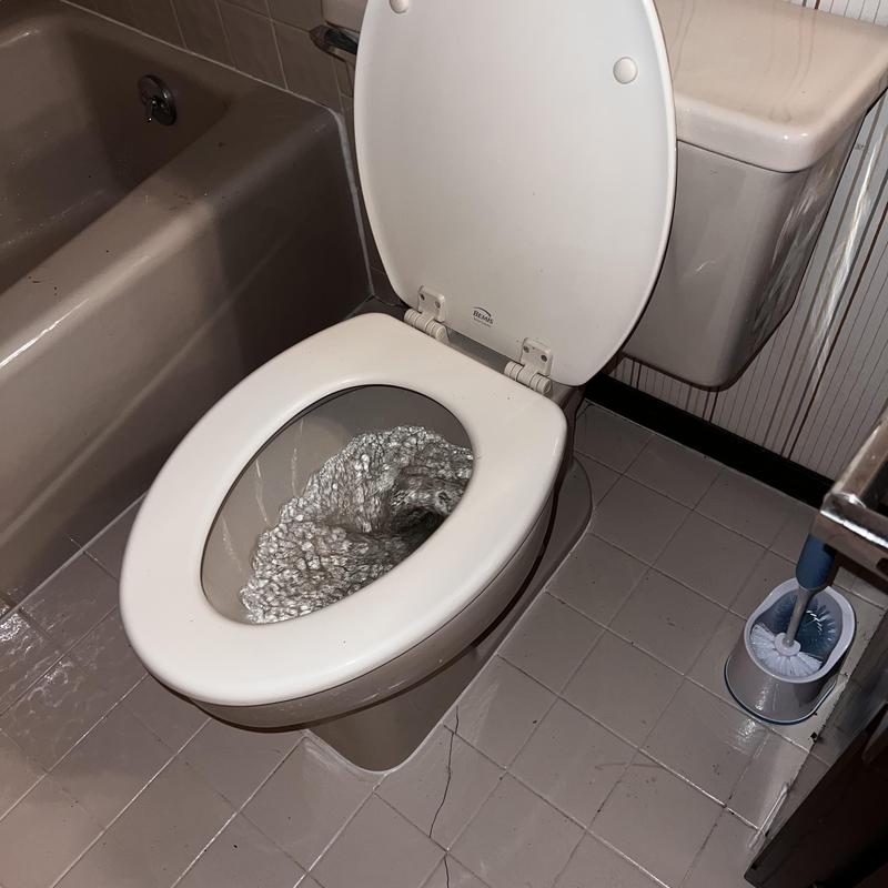 Toilet flushing with open lid in bathroom setting