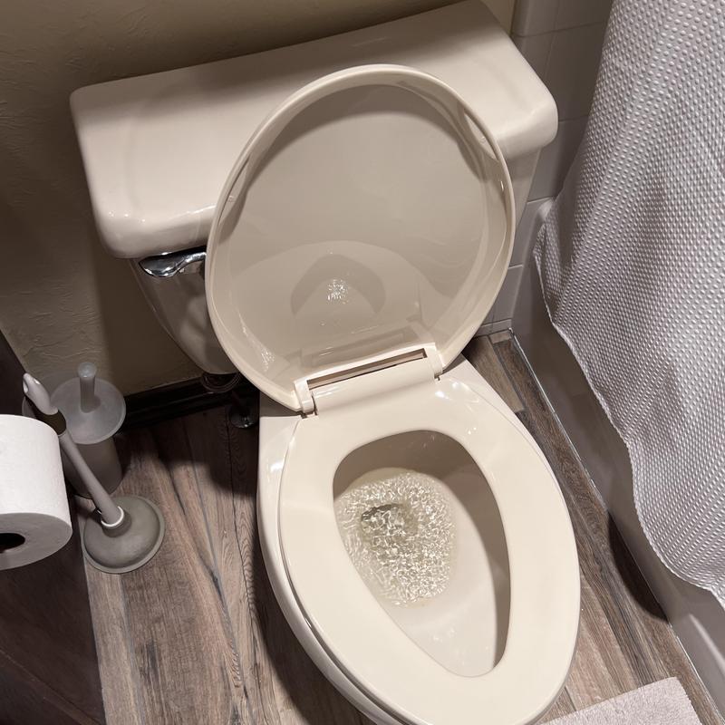 Toilet bowl and tank with new seat and internal parts