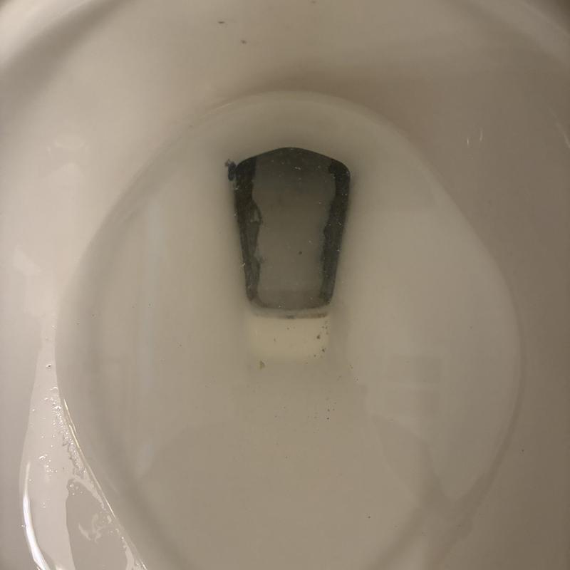 Toto toilet bowl with clean water inside