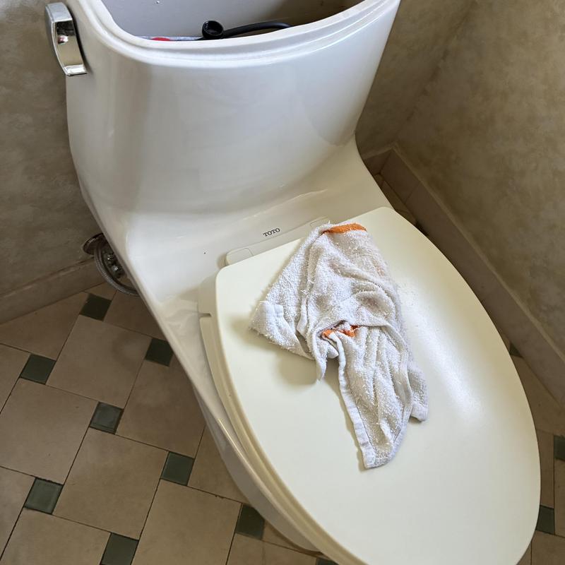 Toto toilet tank lever replacement with towel on seat