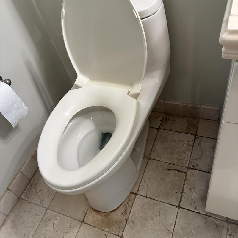 Toilet with replaced Toto tank lever in residence