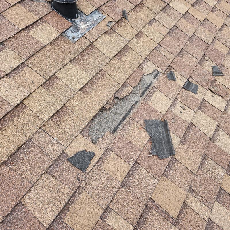 GAF 30 yr Shakewood shingles damaged by critters
