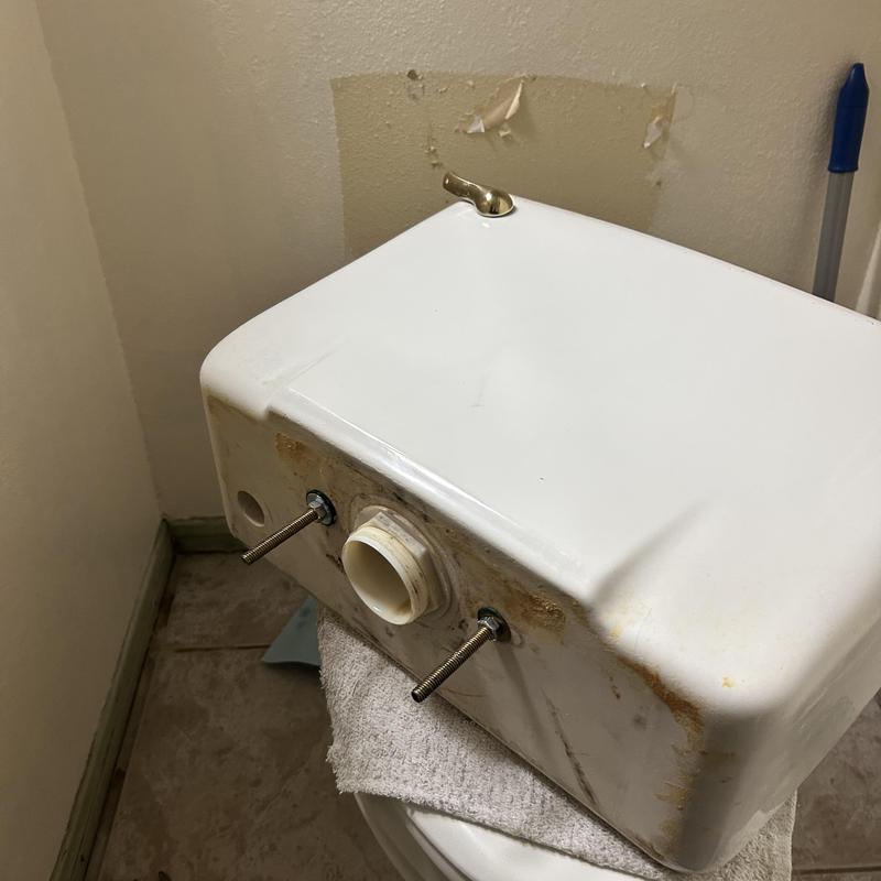 Toilet tank with flush valve and mounting bolts