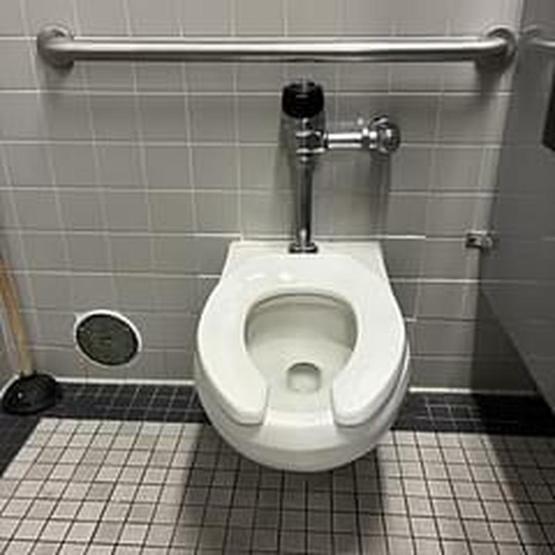 Flushometer valve with sensor in public restroom