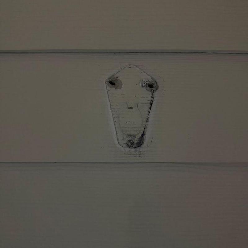 Siding panel with damaged screw holes and patch area