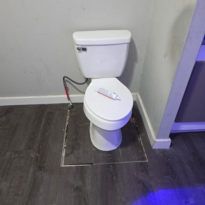 Toilet flange replacement with new wax ring and caulk