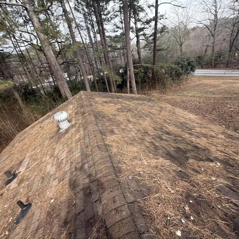 Roof shingles with visible wear and debris buildup