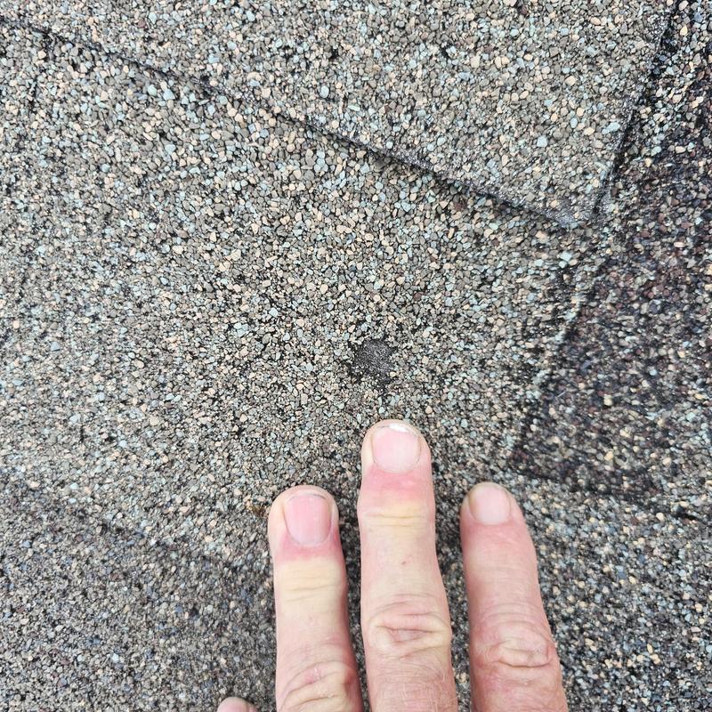 Asphalt shingle granule loss from hail damage