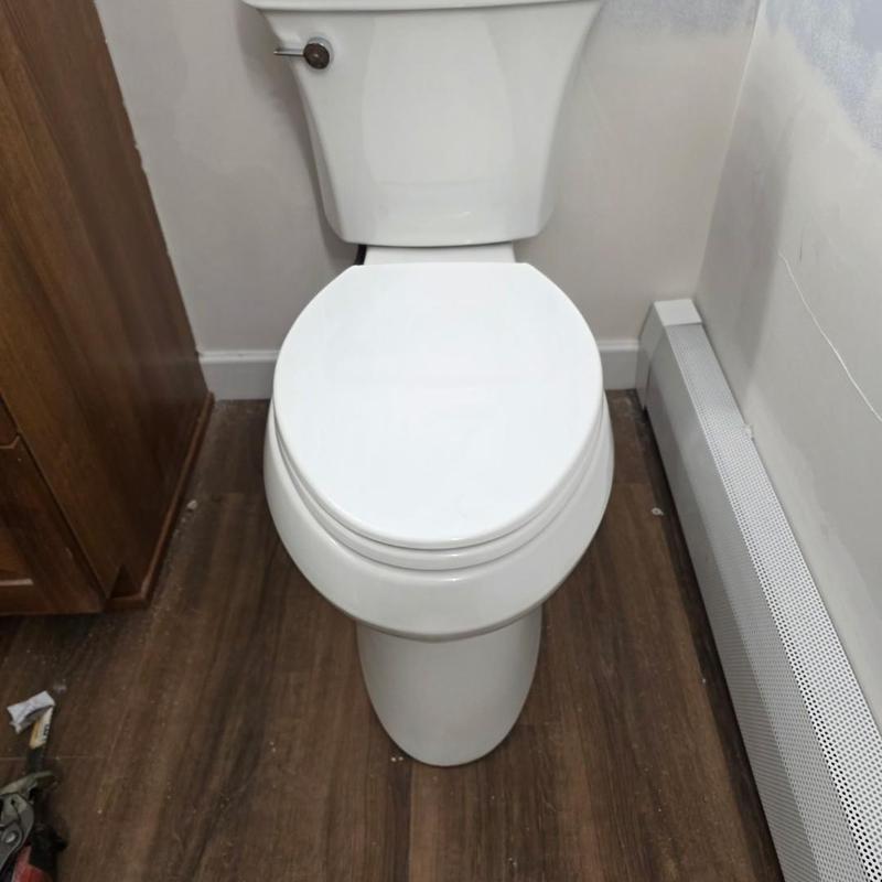 Toilet installation in bathroom with wood flooring