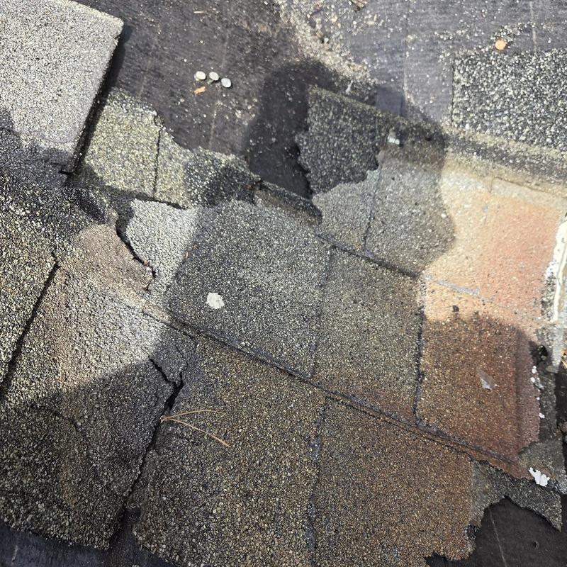 Roof shingles damaged and peeling on black underlayment