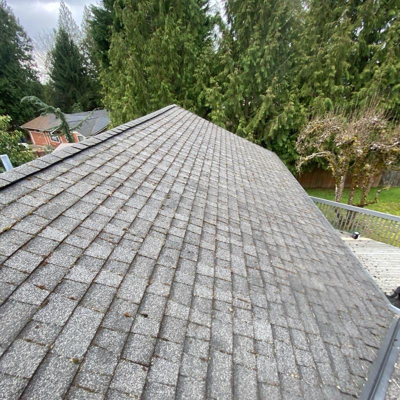 Asphalt shingle roof with moss buildup removed safely