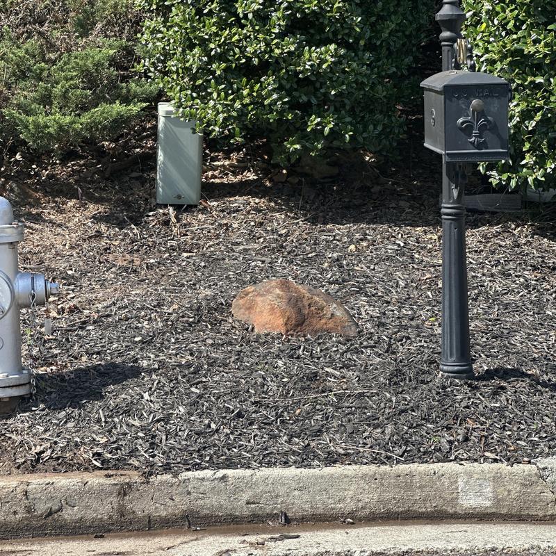 Main water line area in yard near mailbox and hydrant