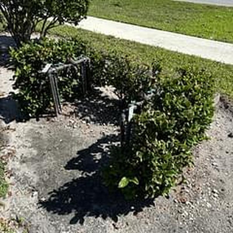 Backflow device inspection at outdoor plumbing site