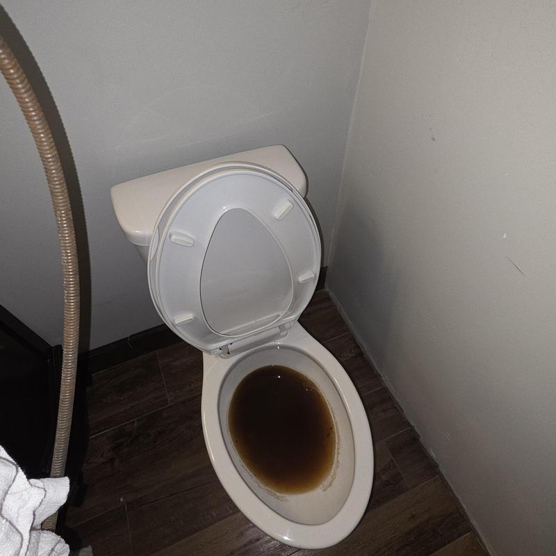 Toilet with clogged water and auger tool nearby