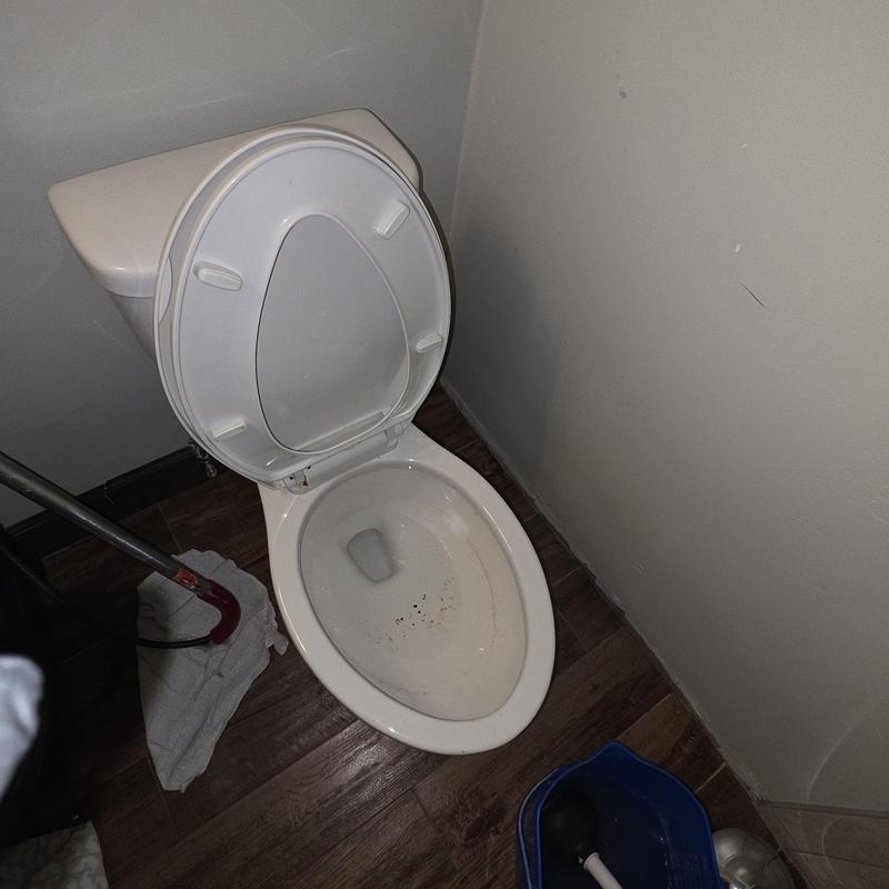 Toilet bowl with closet auger clearing blockage