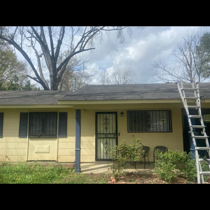 3 tab shingle roof inspection with ladder in Florence, MS