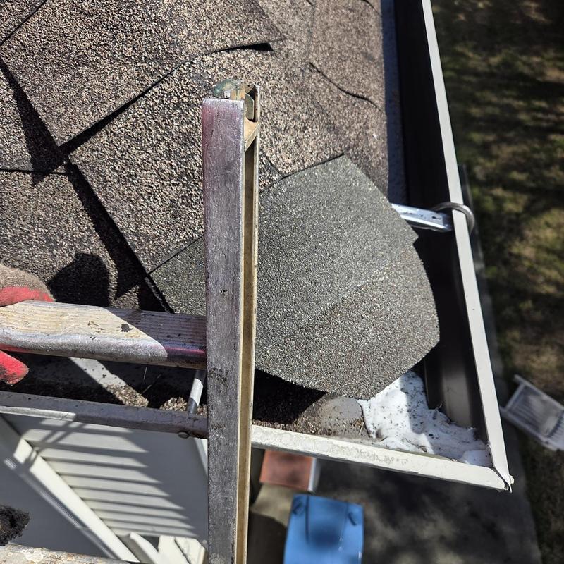 Roof shingles and gutter section replaced on house rear