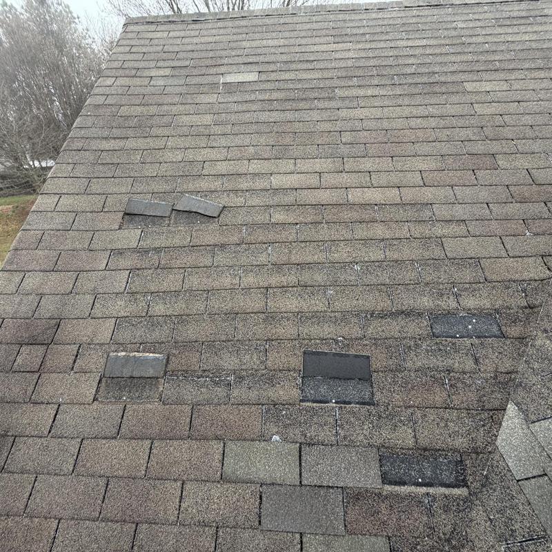 Roof shingles with replaced and damaged sections