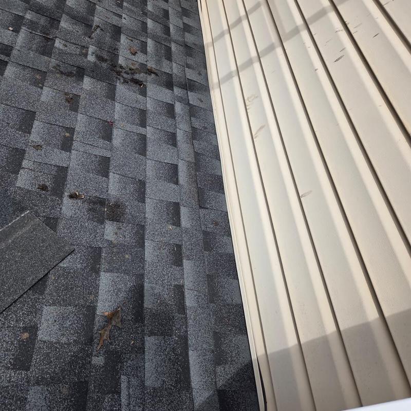 Asphalt shingles near vinyl siding with leaves