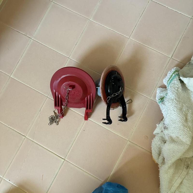 Toilet flappers replacement parts on tiled floor