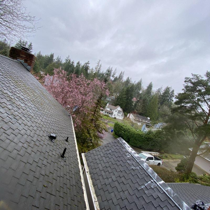 Roof shingles with moss treatment and gutter cleaning