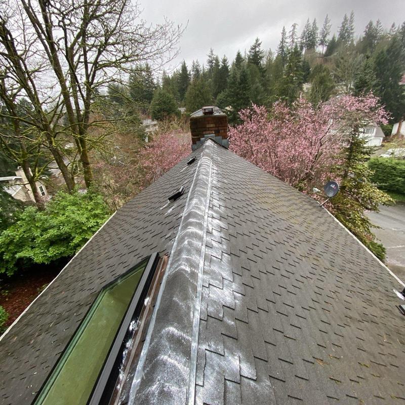 Roof shingles with moss treatment and debris clearing
