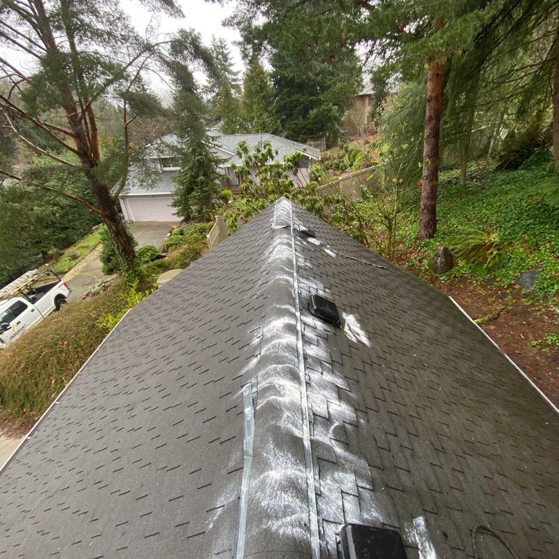 Roof shingle moss treatment and cleaning in Bellevue, WA