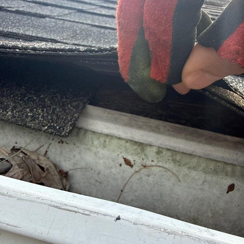 Roof shingles lifted revealing gutter debris buildup