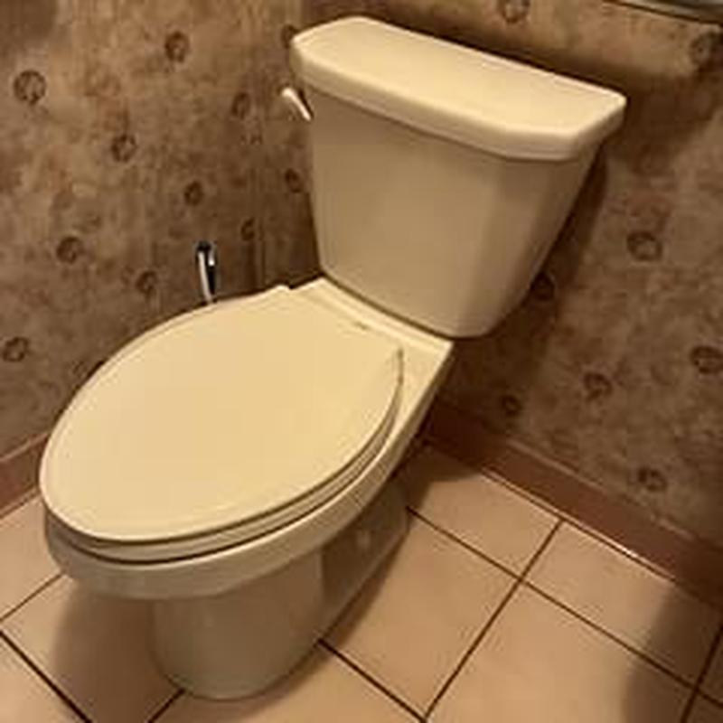 Toilet flange camera inspection and toilet reset in bathroom